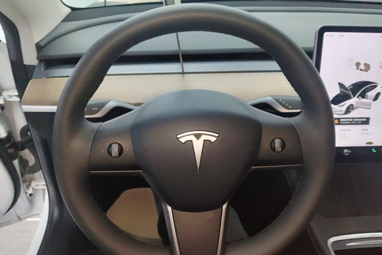 Tesla Model 3 2021 immagine di auto #11