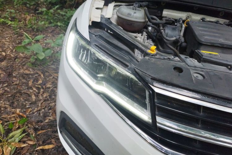 Volkswagen Bora 2019 #8 Volkswagen Bora 2019 car image #8