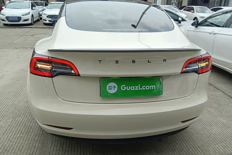 Tesla Model 3 2021 immagine di auto #6