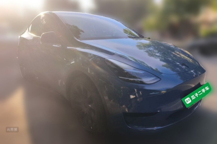 Tesla Model Y 2022 car image #4