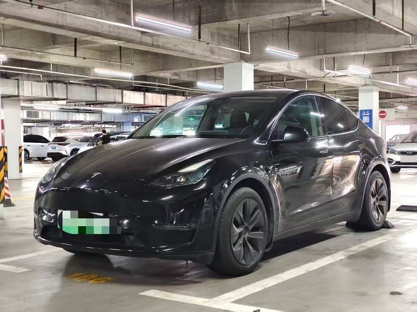 Tesla Model Y 2021 Tesla Model Y 2021 car image