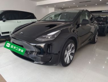 Tesla Model Y 2022 Tesla Model Y 2022 car image