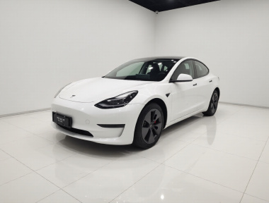 Tesla Model 3 2021 car image 