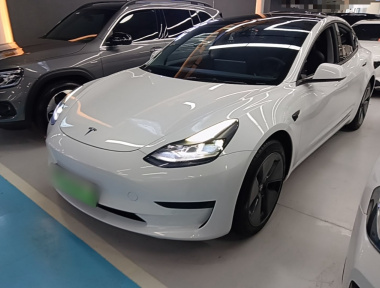 Tesla Model 3 2022 Tesla Model 3 2022 immagine di auto
