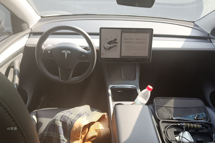 Tesla Model Y 2024 car image #11