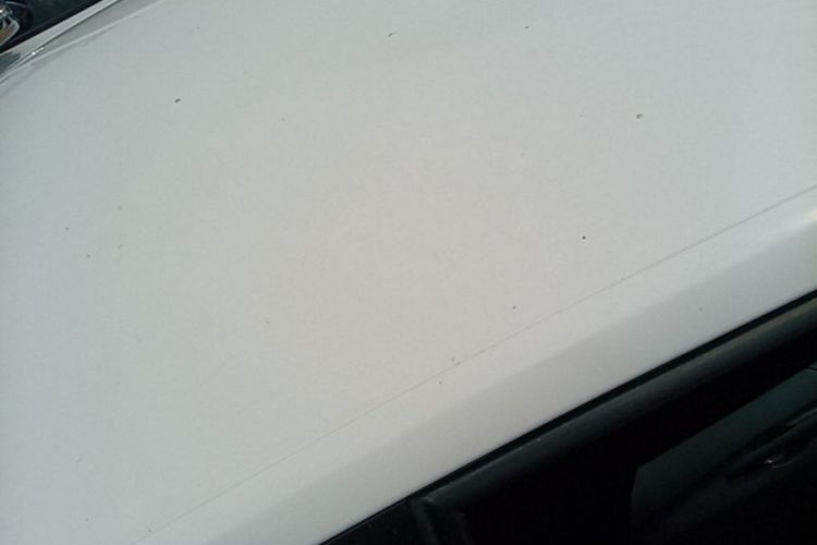 Volkswagen Santana 2023 car image #25