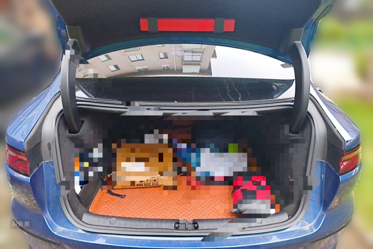 BYD Han 2022 car image #21