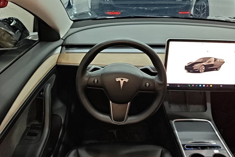 Tesla Model 3 2022 #11 Tesla Model 3 2022 immagine di auto #11