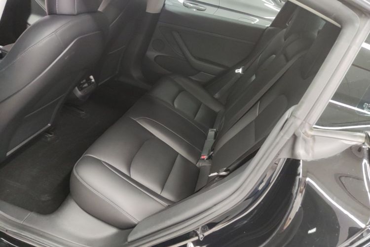 Tesla Model 3 2021 car image #13