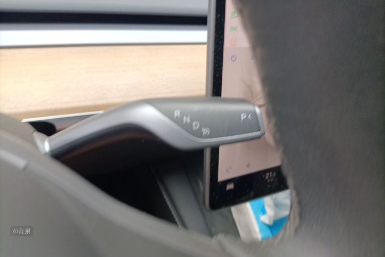 Tesla Model Y 2021 #16 Tesla Model Y 2021 car image #16