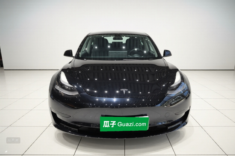 Tesla Model 3 2022 #3 Tesla Model 3 2022 car image #3