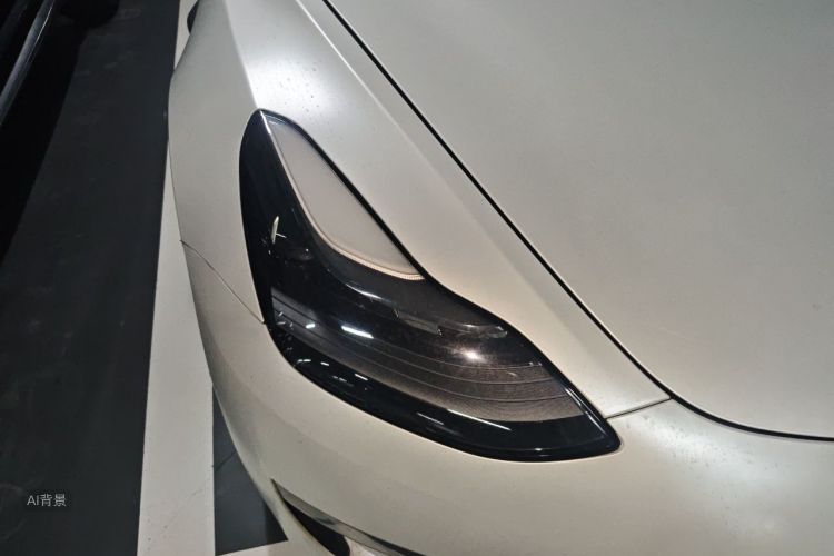 Tesla Model 3 2021 #8 Tesla Model 3 2021 car image #8