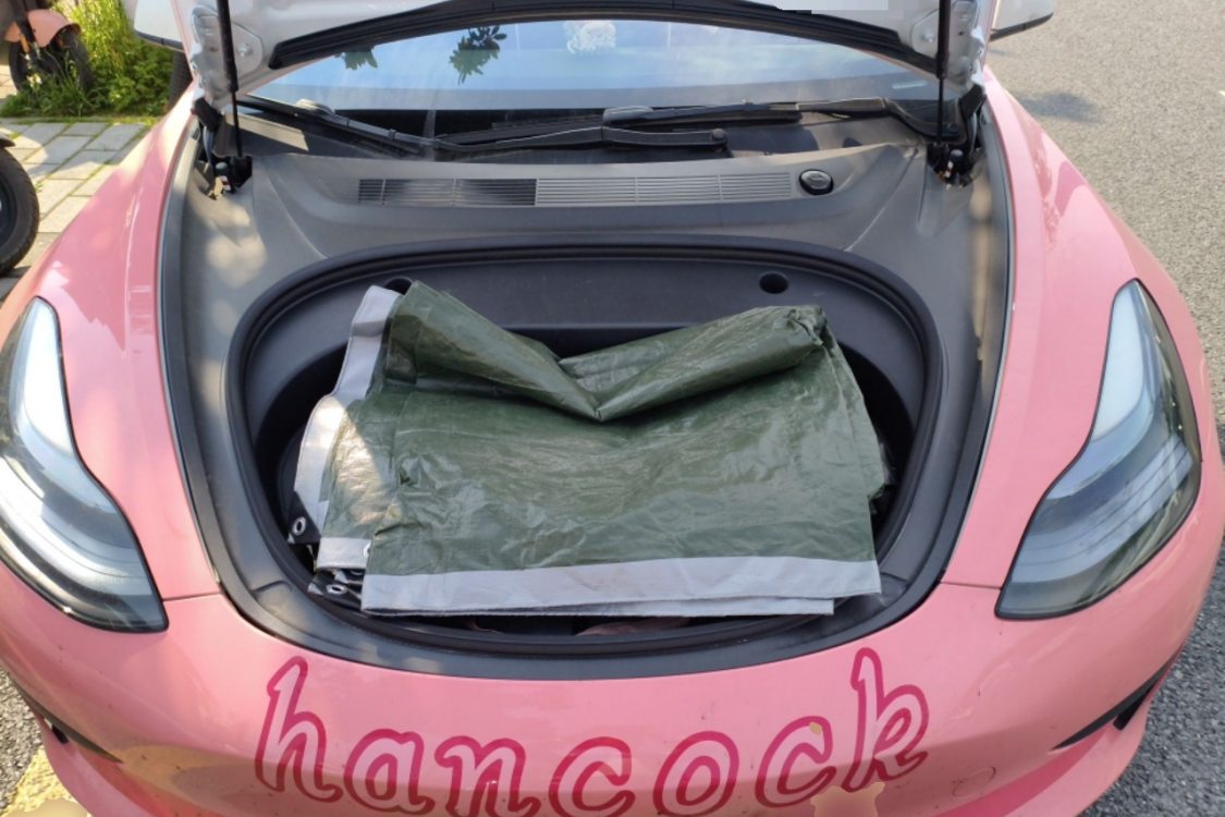 Tesla Model 3 2023 car image #10