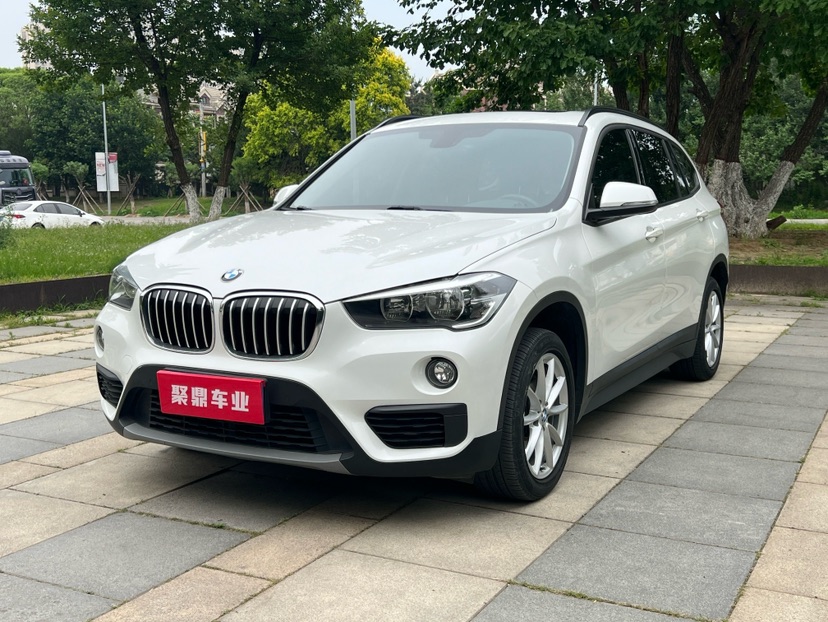BMW X1 2019 BMW X1 2019 imagen de coche