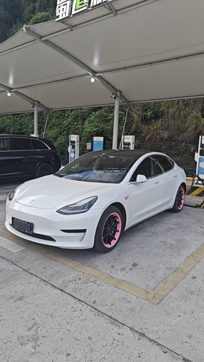 Tesla Model 3 2020 car image 