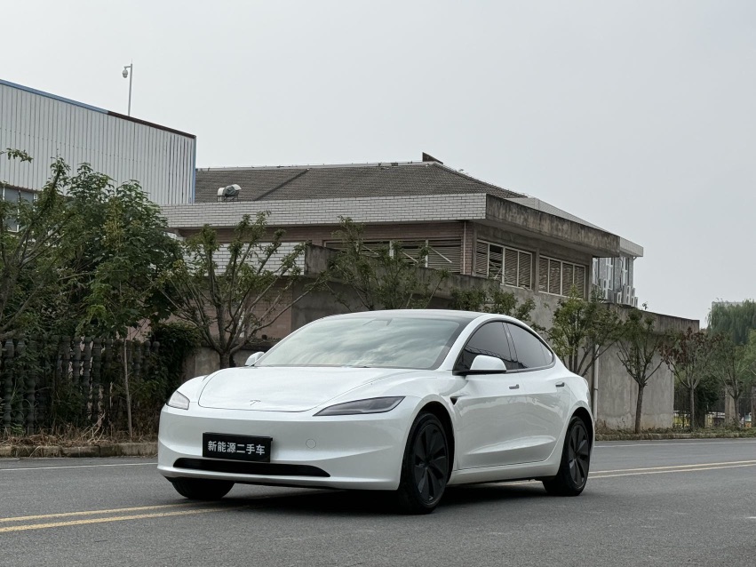 Tesla Model 3 2024 Tesla Model 3 2024 immagine di auto