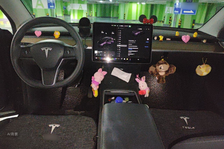 Tesla Model Y 2022 car image #11