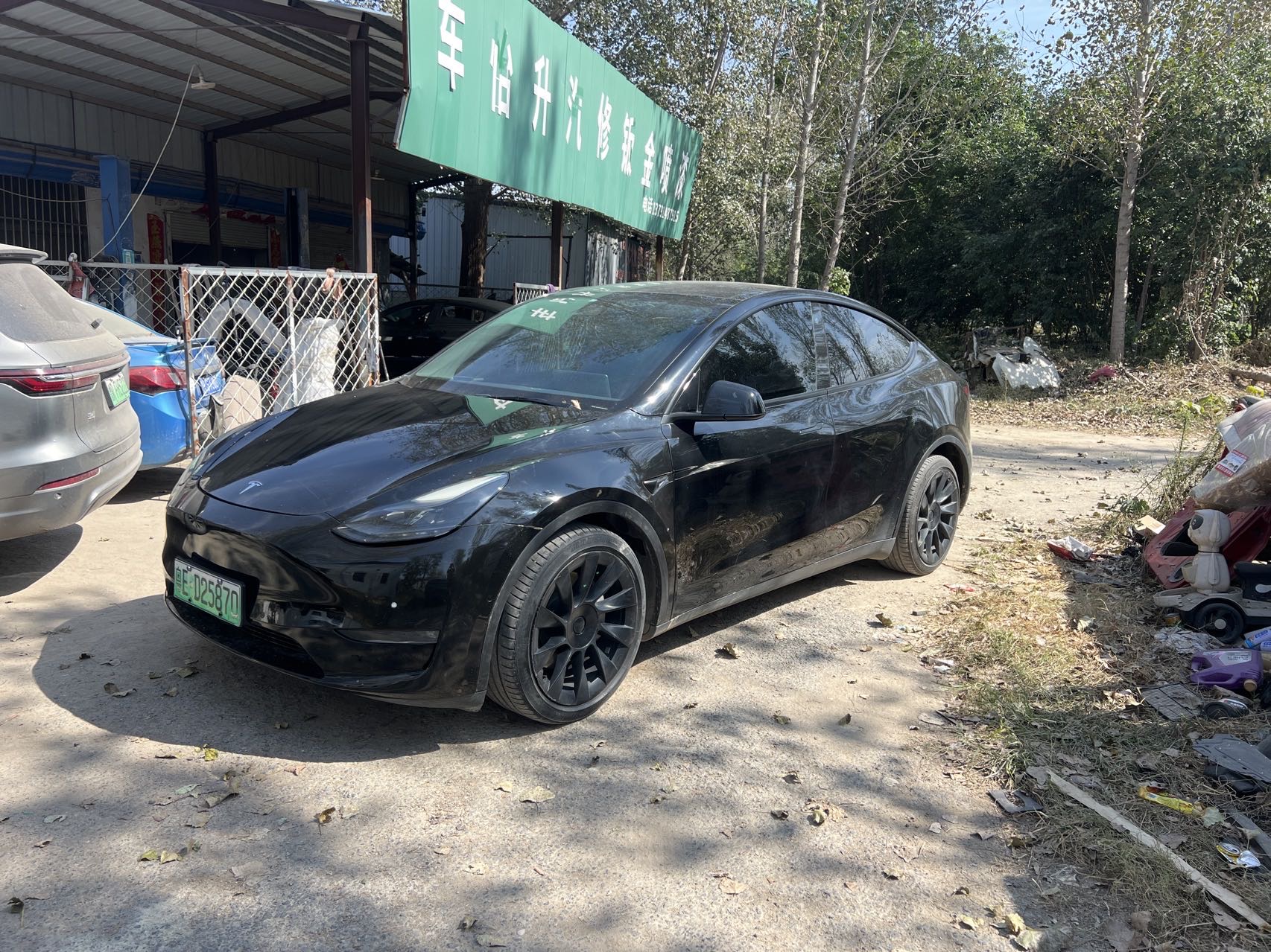 Tesla Model Y 2021 immagine di auto 