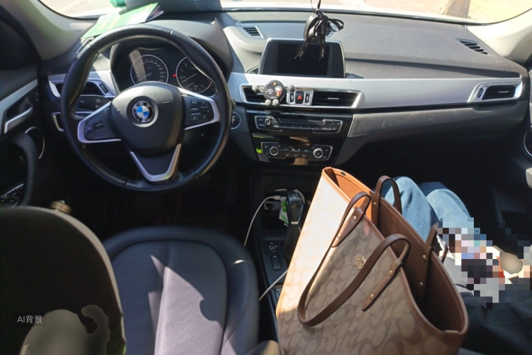 BMW X1 2016 image de voiture #11