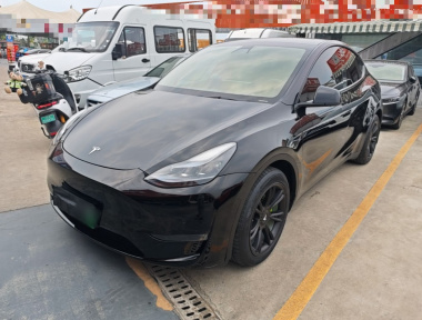 Tesla Model Y 2021 Tesla Model Y 2021 car image