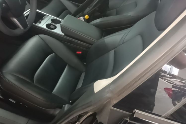 Tesla Model 3 2022 immagine di auto #23