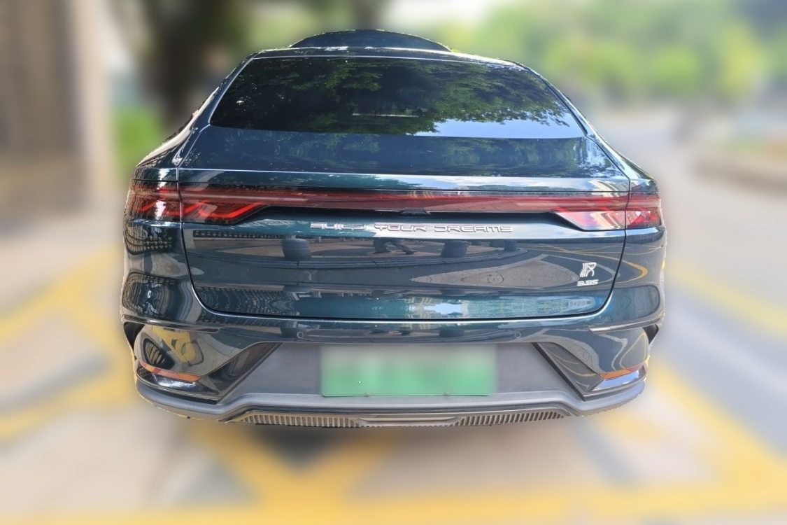 BYD Han 2022 #6 BYD Han 2022 immagine di auto #6