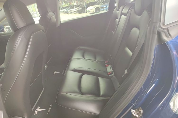 Tesla Model 3 2020 car image #17