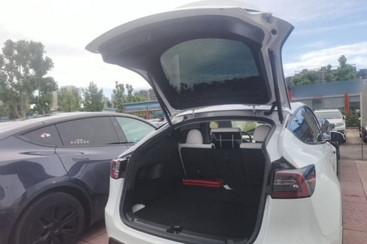 Tesla Model Y 2023 #19 Tesla Model Y 2023 car image #19
