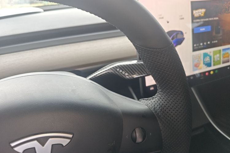 Tesla Model 3 2020 car image #14