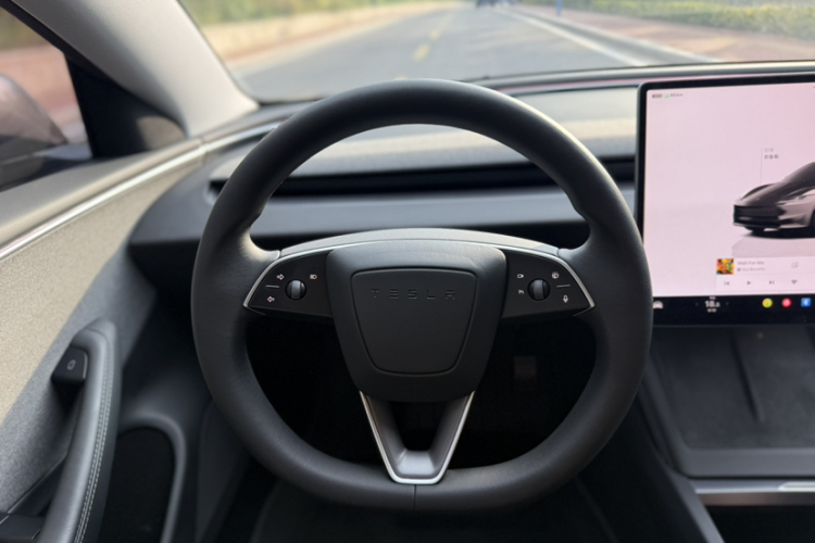 Tesla Model 3 2023 immagine di auto #16
