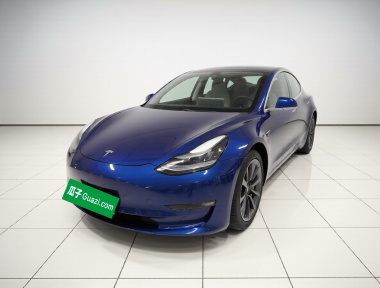 Tesla Model 3 2020 Tesla Model 3 2020 car image
