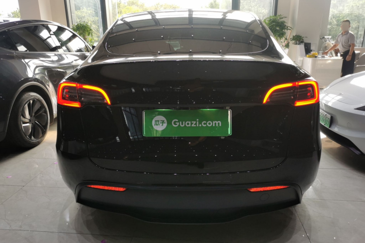 Tesla Model Y 2021 car image #6
