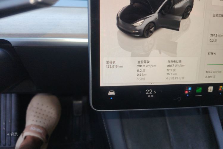 Tesla Model 3 2022 immagine di auto #14