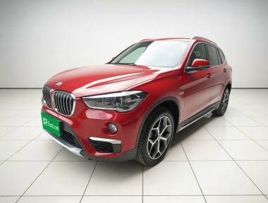 BMW X1 2019 car image 