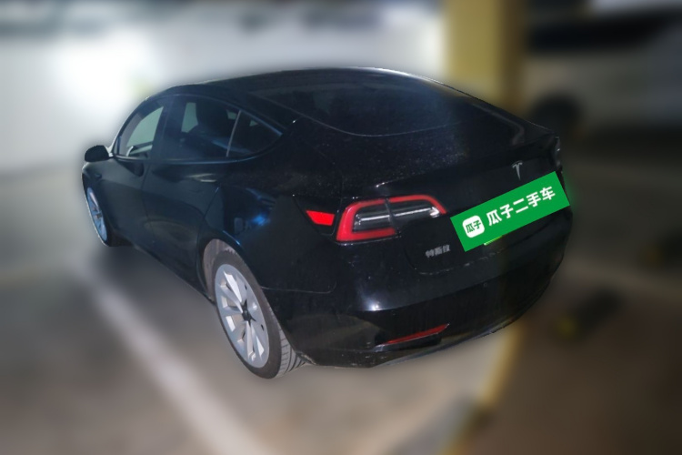 Tesla Model 3 2021 #5 Tesla Model 3 2021 car image #5