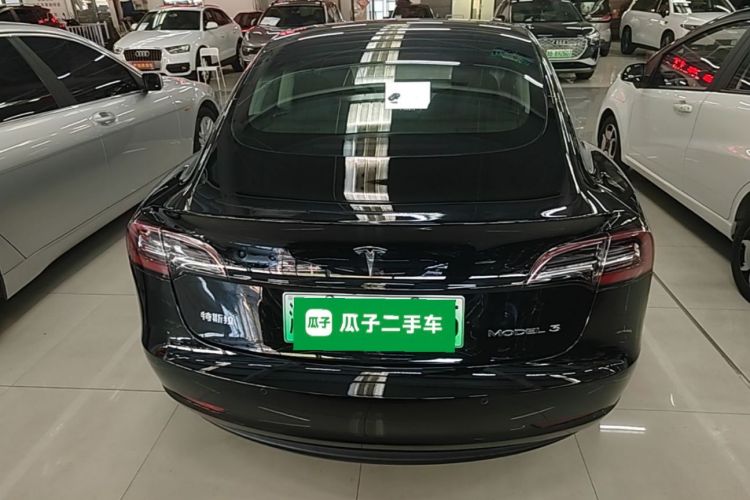 Tesla Model 3 2020 imagem de carro #4
