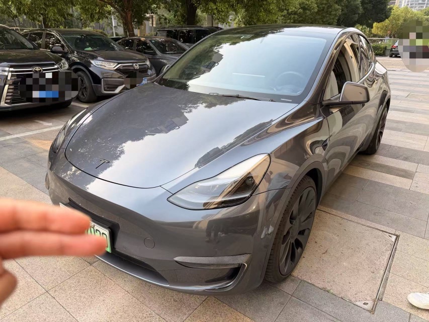 Tesla Model Y 2021 Tesla Model Y 2021 car image