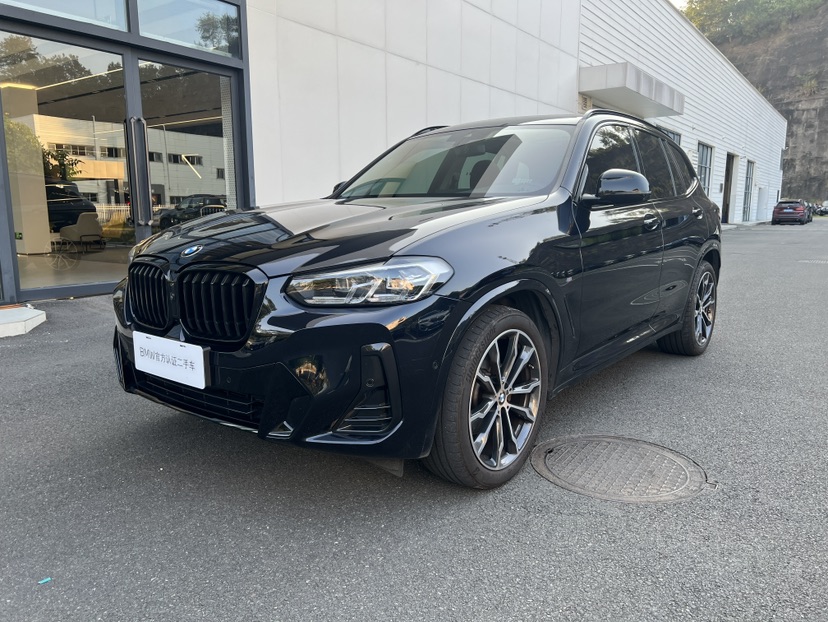 BMW X3 2024 car image 