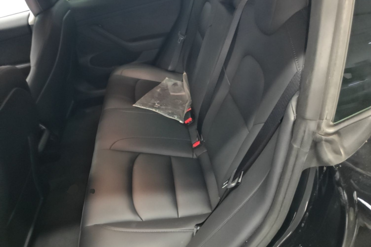 Tesla Model 3 2021 car image #17