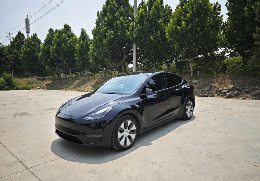Tesla Model Y 2021 Tesla Model Y 2021 car image