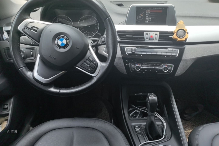 BMW X1 2017 car image #11