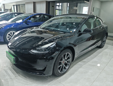 Tesla Model 3 2021 Tesla Model 3 2021 car image