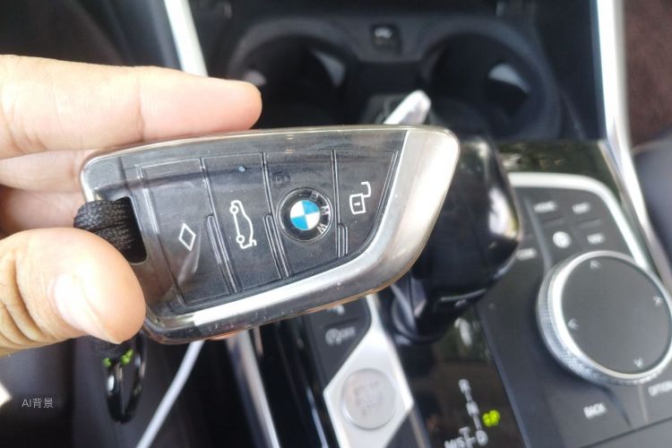 BMW 3 Series 2021 car image #10