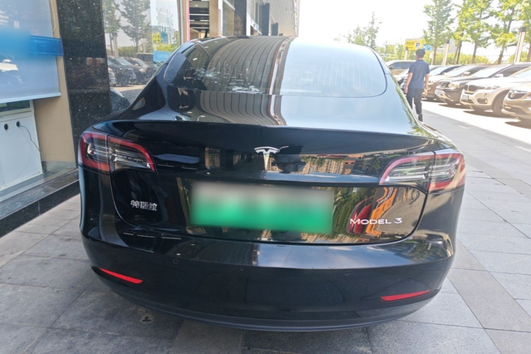 Tesla Model 3 2020 car image #6