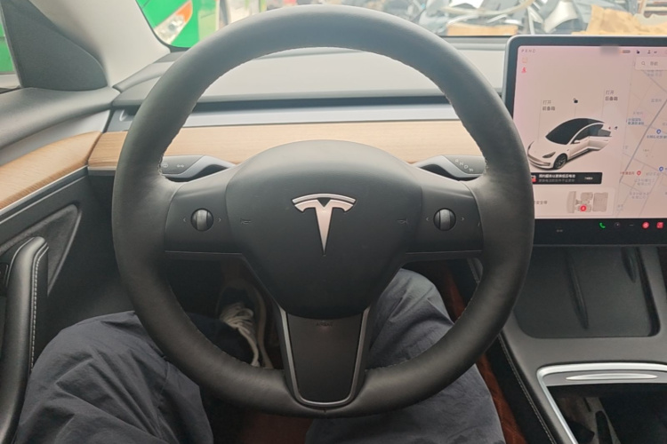 Tesla Model 3 2021 car image #11