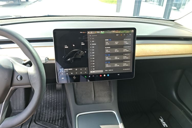 Tesla Model 3 2021 car image #13