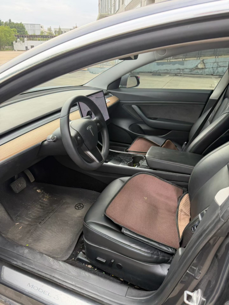 Tesla Model 3 2020 car image #2