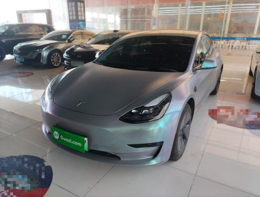 Tesla Model 3 2022 Tesla Model 3 2022 car image