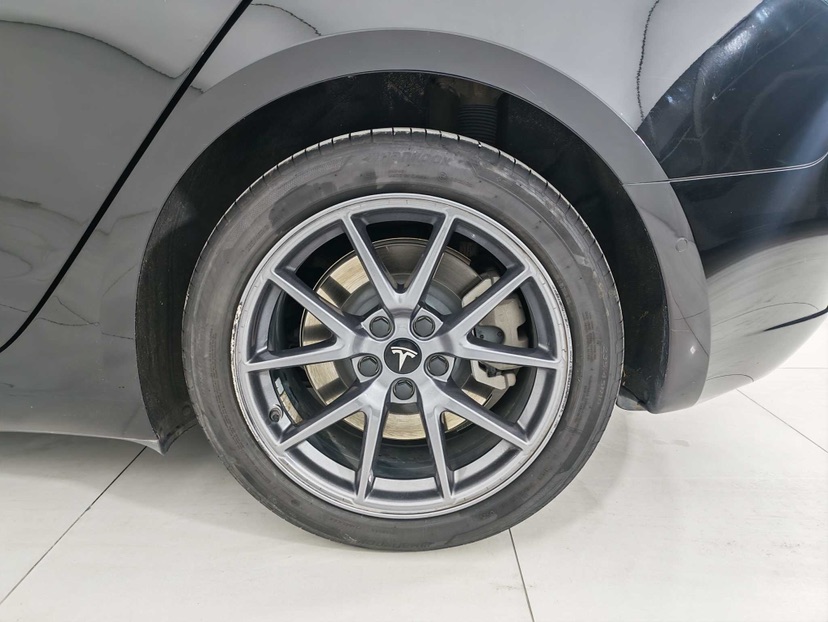 Tesla Model 3 2023 car image #8