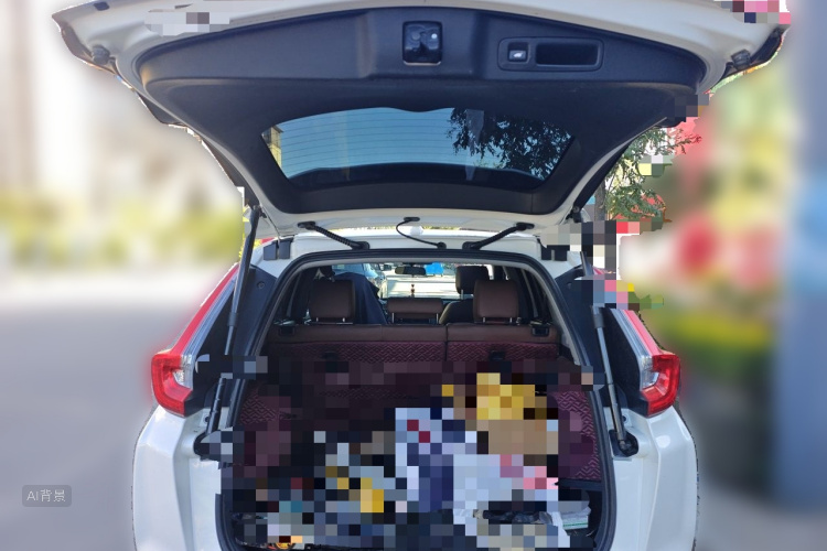 Honda CR-V 2019 car image #21